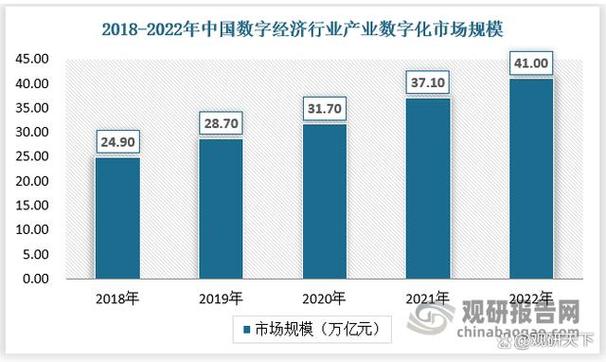 中国数字经济行业发展研究与未来投资预测报告20242031年